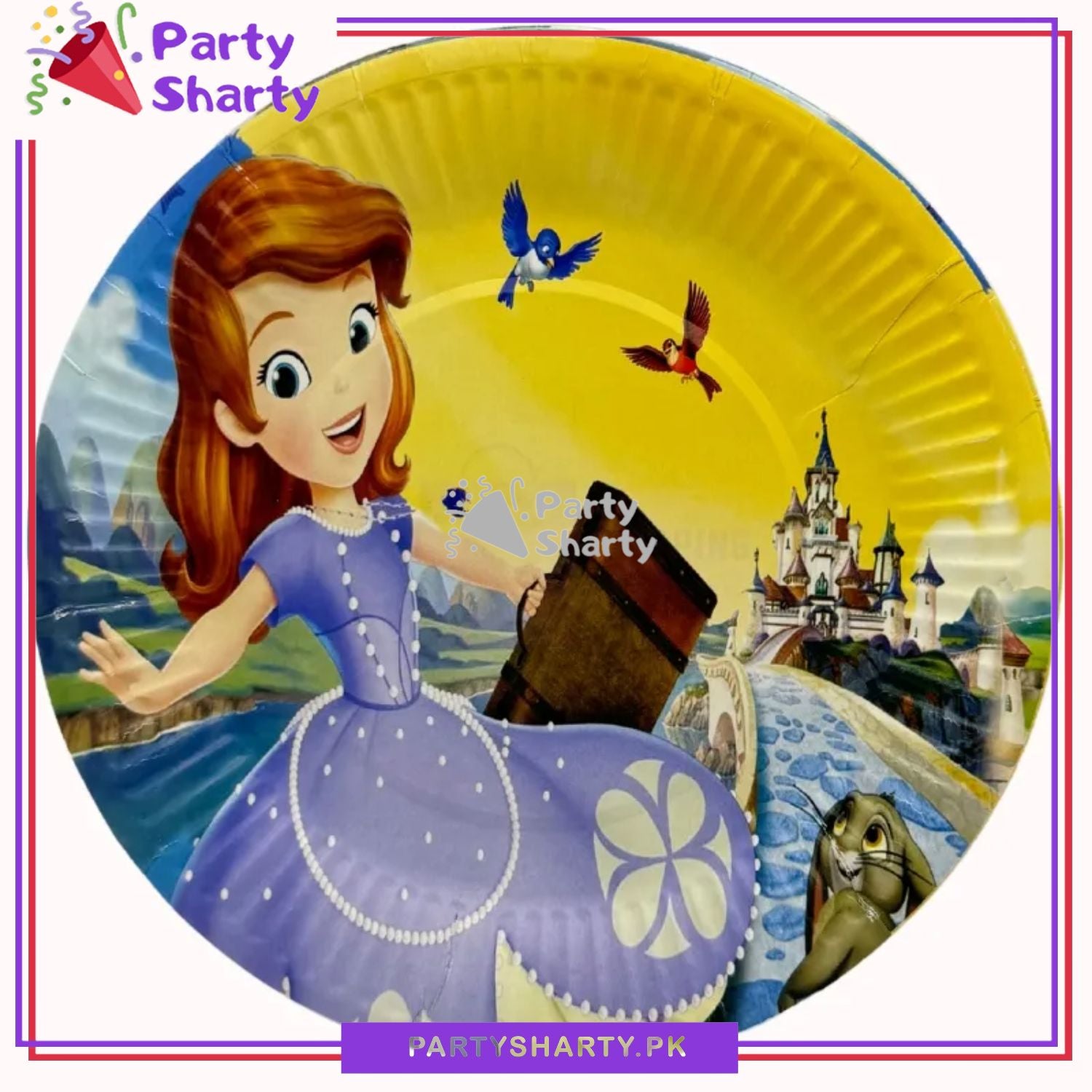 D-2 Sofia Theme Party Disposable Paper Plates for Theme Party and Decoration