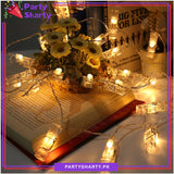LED Photo Clip String Lights, Battery Operated / Warm Light