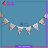 Happy Birthday & Cake Printed Flag Bunting Garland for Birthday Party Decoration and Celebration