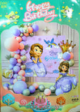 Happy Birthday Sofia Theme Set For Theme Based Birthday Decoration and Celebration
