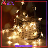 LED Star Fairy Light Battery Operated 20 Stars String Light For Room and Party Decoration