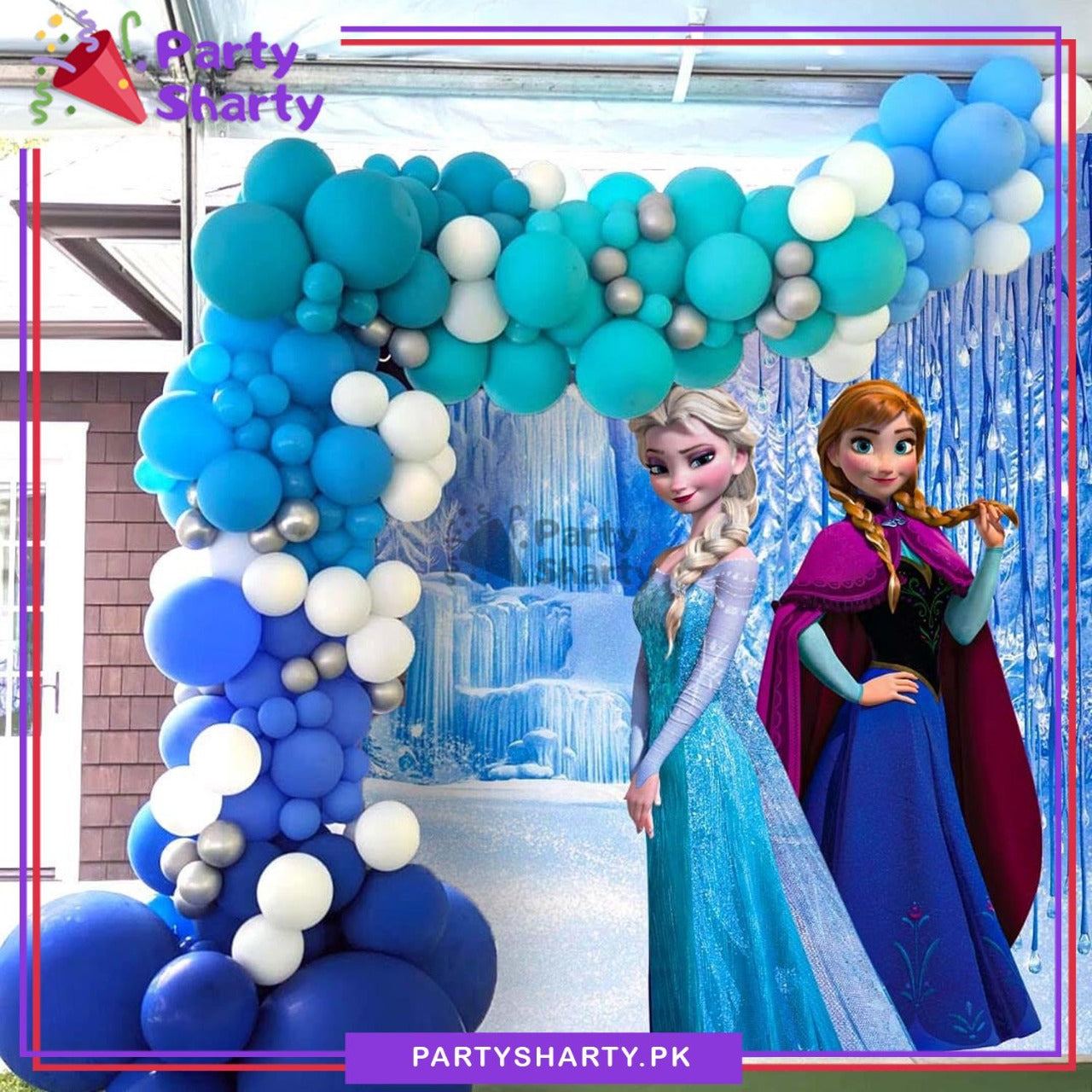 D-1 Frozen Anna & Elsa Panaflex backdrop For Frozen Theme Birthday Decoration and Celebration