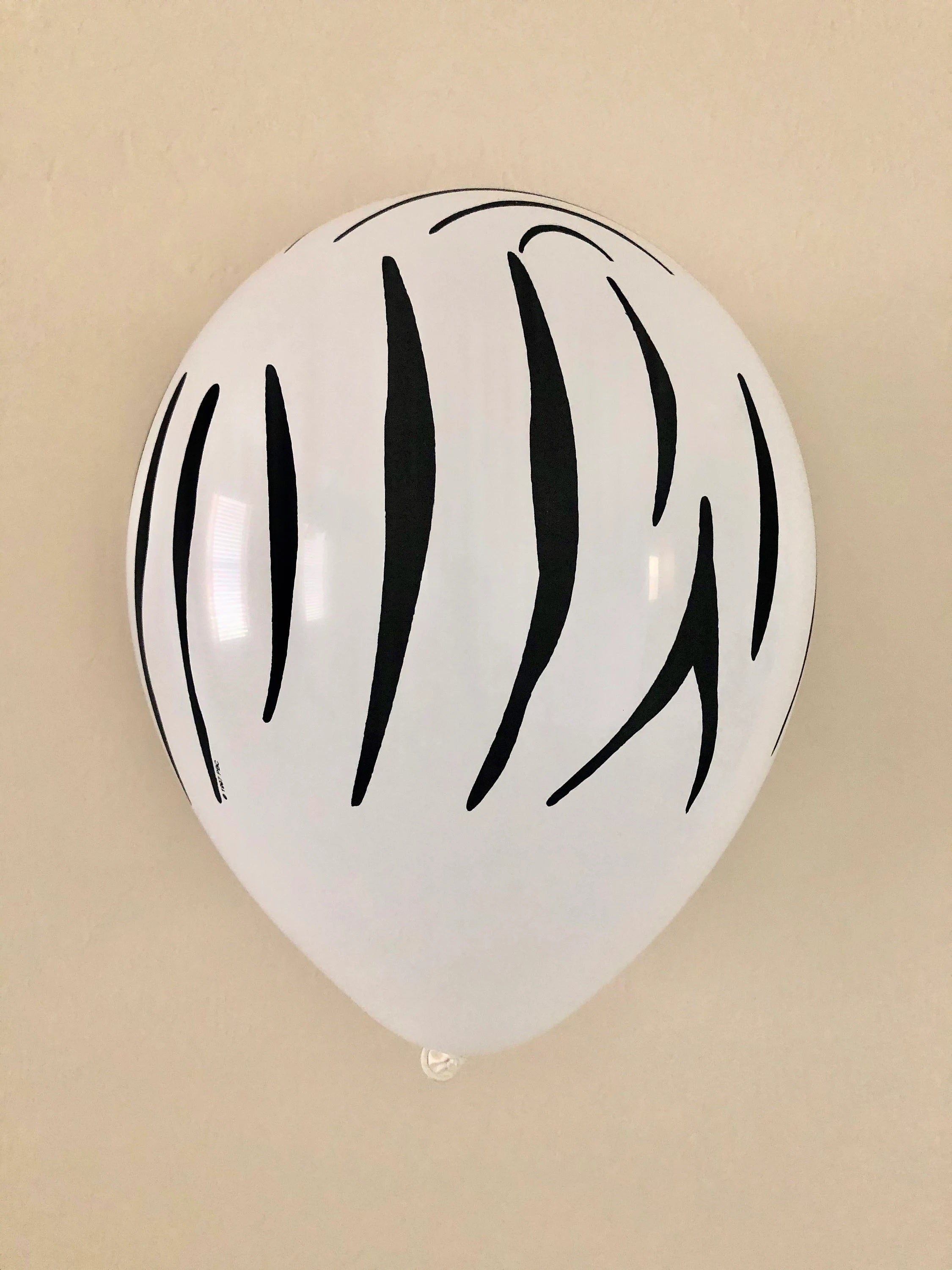 White Zebra Print Latex Balloons For Jungle / Safari / Wild One Theme Birthday Party Decoration and Celebration